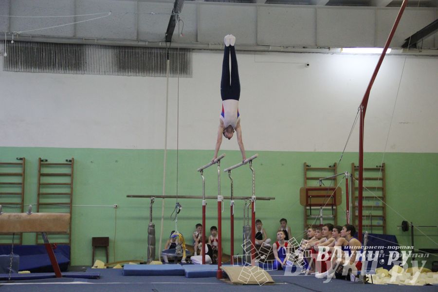 В Великих Луках прошло Первенство Области по спортивной гимнастики (фото)