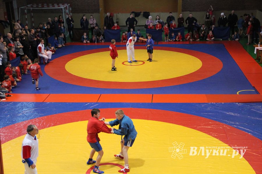 В Великих Луках проходит турнир самбистов (ФОТО)