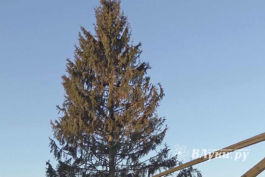 Город готовится к Новому году