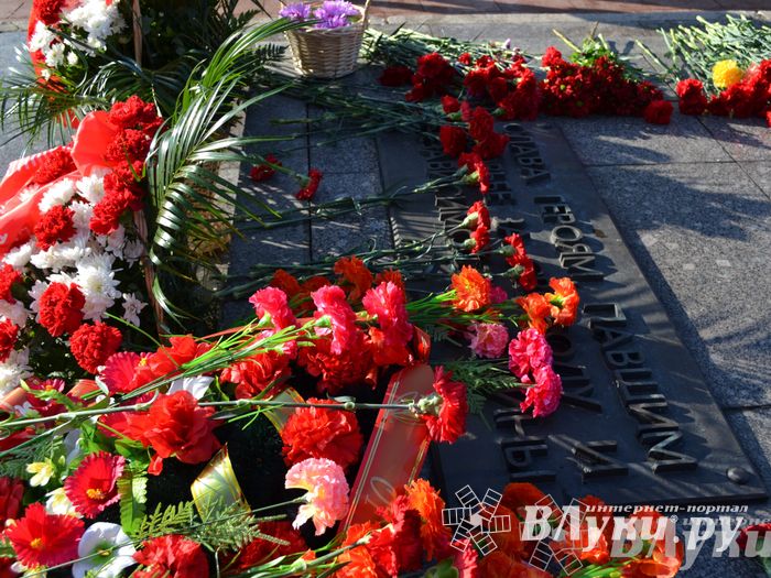 День защитника отечества в Великих Луках отметили памятным митингом и салютом