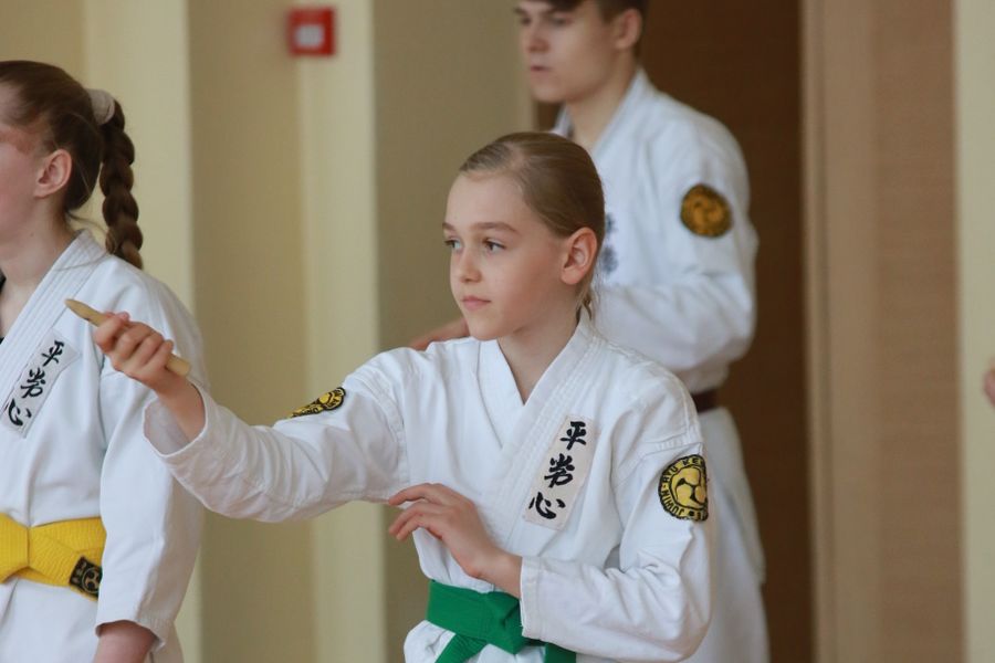 Ученики школы Дзюшин-рю кэмпо каратэ постигали искусство кобудзюцу (ФОТО)