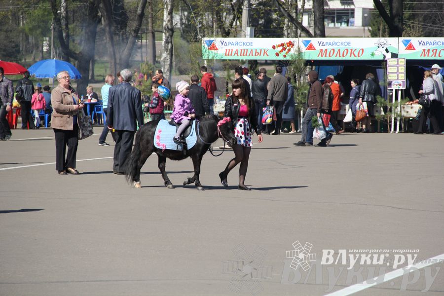Традиционная весенняя ярмарка прошла в Великих Луках