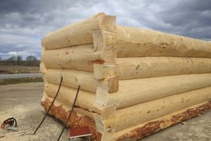 Уникальная часовня-купель появится в память о погибших великолукских паломниках