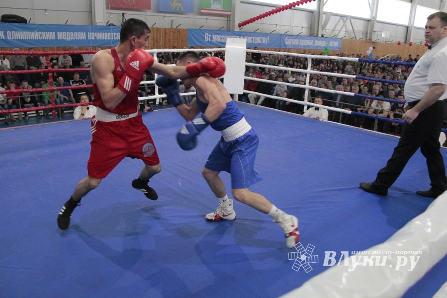 Матчевая встреча по боксу Великие Луки —Псков — Грозный (ФОТО)