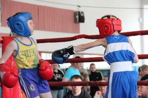 В Великих Луках прошло Первенство города по боксу (ФОТО)