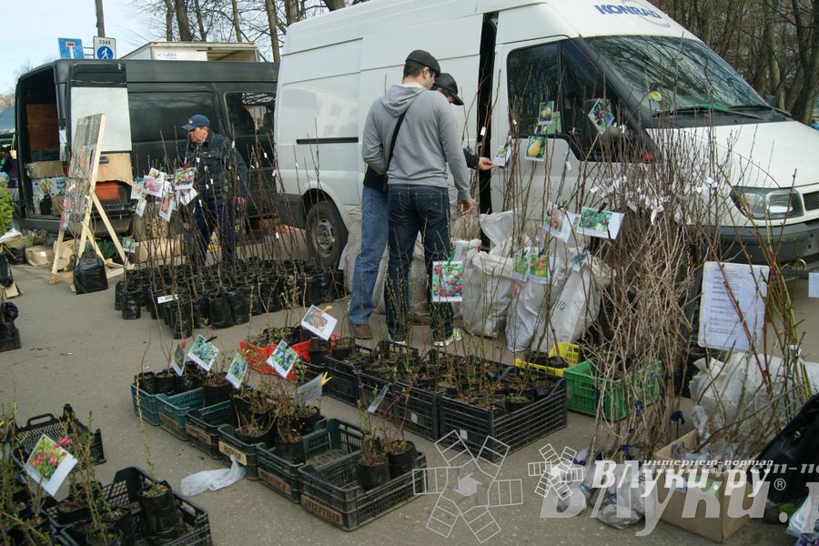 Весенняя ярмарка 2013 прошла в Великих Луках