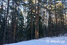 Солнечная и морозная погода будет преобладать на Северо-Западе