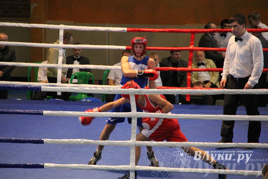 16-й Международный турнир по боксу (фото)