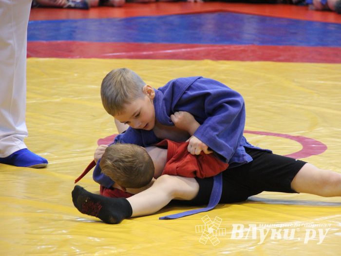 Открытый турнир по самбо «Новогодняя звезда-2019» прошел в Великих Луках (ФОТО)