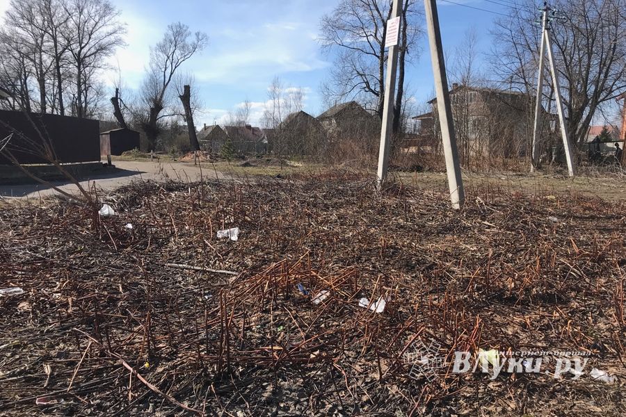 На набережной Лазавицкой угрожающе растёт помойка (ФОТО)