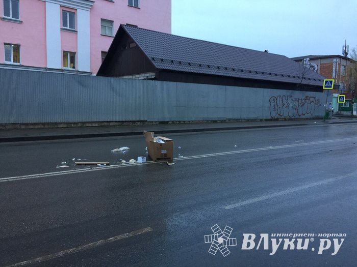 Неопознанный валяющийся объект «украсил» дорогу в Великих Луках.