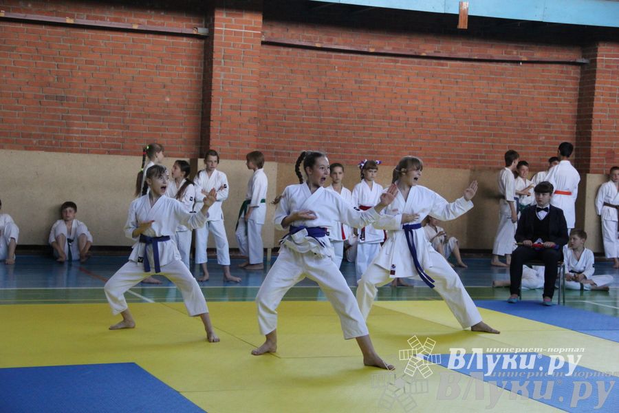 Турнир по каратэ