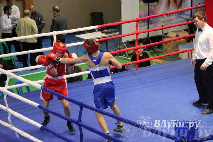 16-й Международный турнир по боксу (фото)