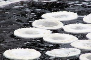 Удивительное природное явление в Великих Луках (ФОТО)