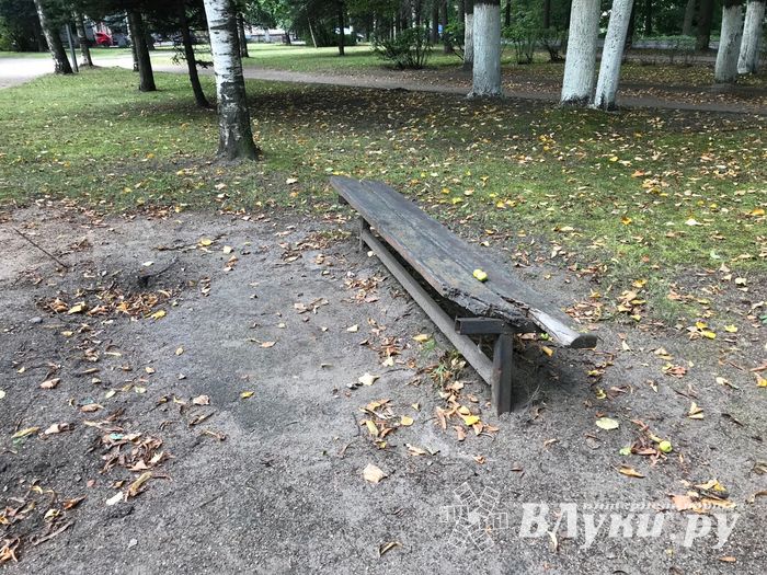 Парк Пушкина: «... А вкруг меня глухое запустенье...» (ФОТО)