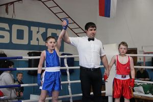 Юные великолучане выявили сильнейших боксёров (ФОТО)