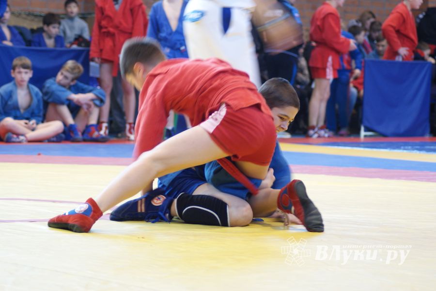 Великолучане завоевали призовые места на турнире по самбо «Память» (ФОТО)