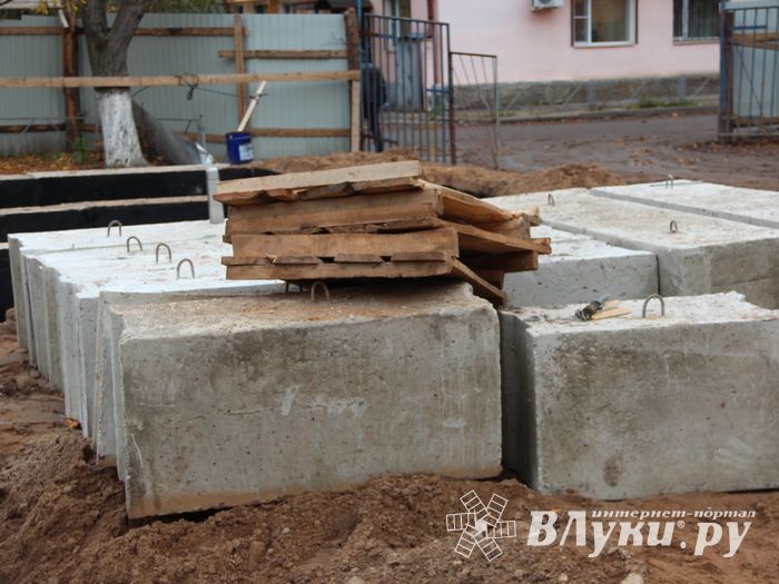 В скором времени нерадивых великолучан станет проще изолировать (ФОТО)