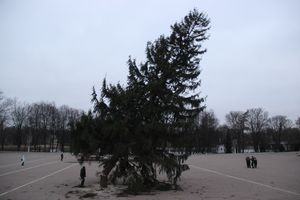 Необычное украшение сняли с главной ёлки Великих Лук (ФОТО)