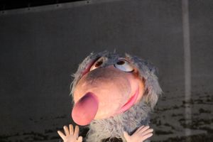 Дождик не помешал открытию городской ёлки (ФОТО)