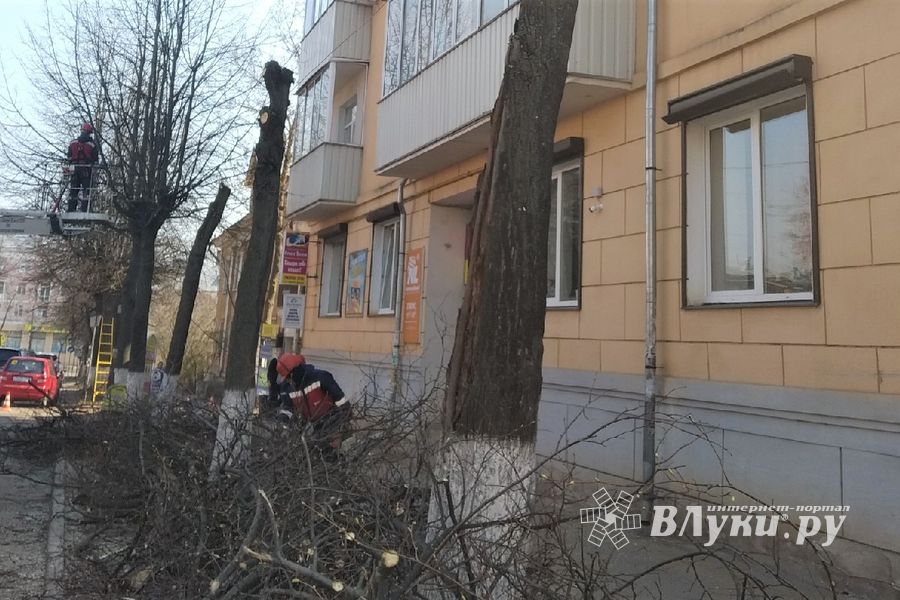 На Пионерской пилят деревья (ФОТО)