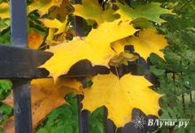 Прогноз погоды на 21 сентября в Великих Луках