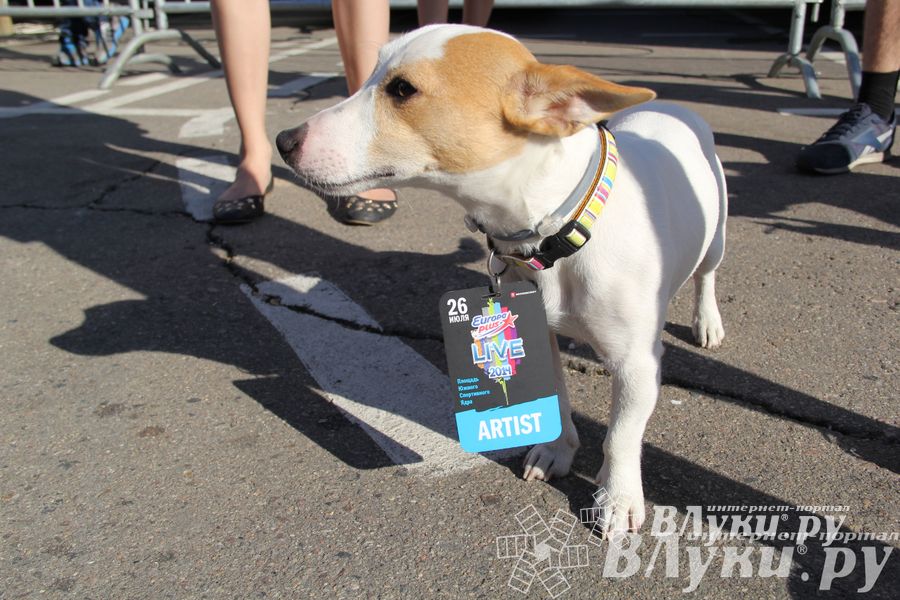 Великолучане съездили на ежегодный open-air Europa Plus LIVE