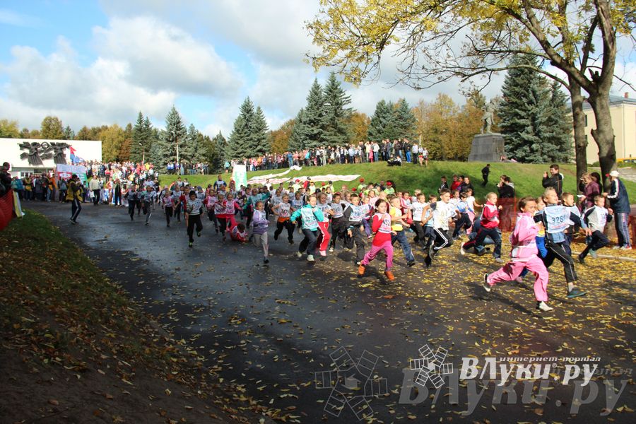 Кросс нации