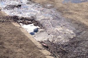 Снег ушел, пыль и грязь вернулись (фото)