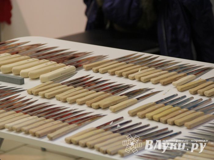 Шестая великолукская универсальная выставка открылась в Великих Луках (фото + видео)