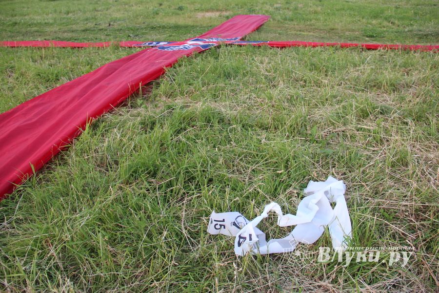 Аэростаты летают над городом (ФОТО)