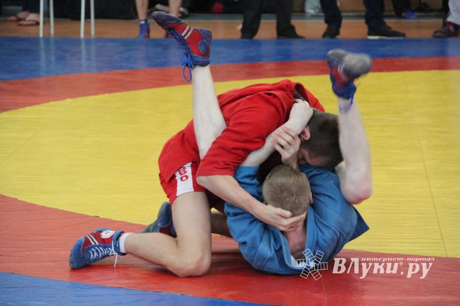 Самбисты поборолись на крупном турнире в Великих Луках (ФОТО)