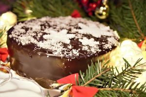 Они сделают Новый год незабываемым и волшебным (ФОТО+ВИДЕО)