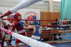 Фестиваль боевых искусств прошел в Великих Луках (ФОТО)