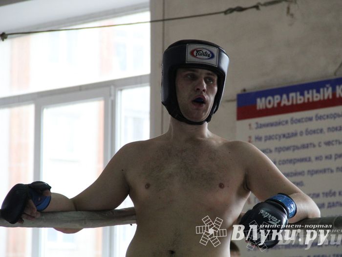 В Великих Луках прошел Чемпионат области по смешанному боевому единоборству (фото)