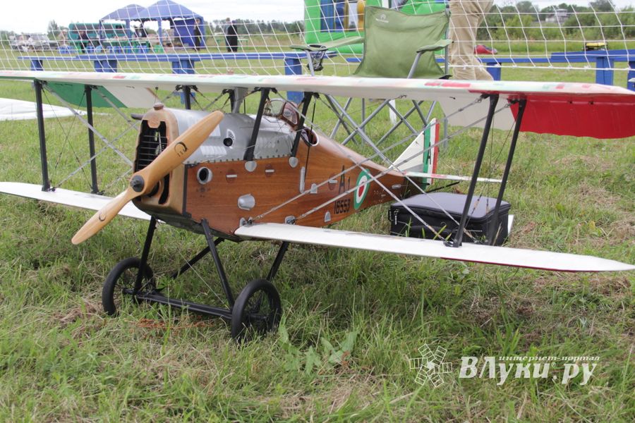 Чемпионат России по авиамодельному спорту в Великих Луках (ФОТО)