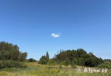 Прогноз погоды на 7 августа в Великих Луках