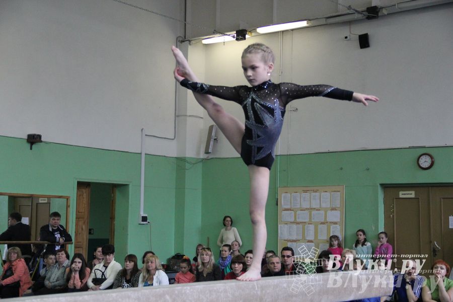 В Великих Луках прошел турнир по спортивной гимнастике (фото)