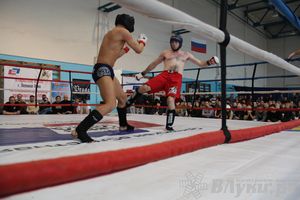 Открытый Кубок города Великие Луки по смешанному боевому единоборству (ММА)