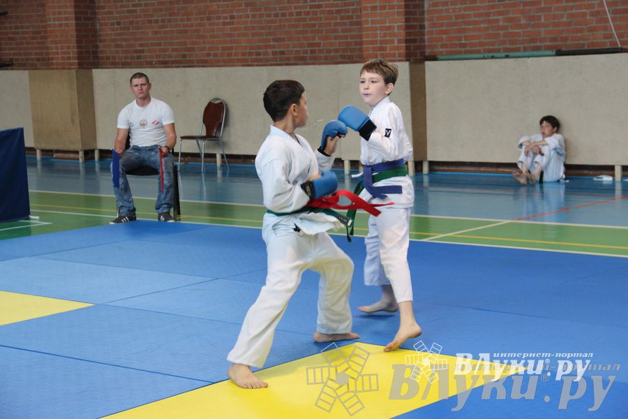 Турнир по каратэ «Неприкосновенный запас — дети Отчизны»