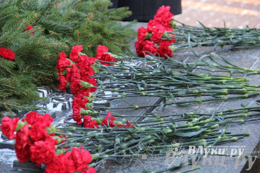 Торжественные мероприятия, посвященные 71-й годовщине освобождения Великих Лук от немецко-фашистских захватчиков (фото)