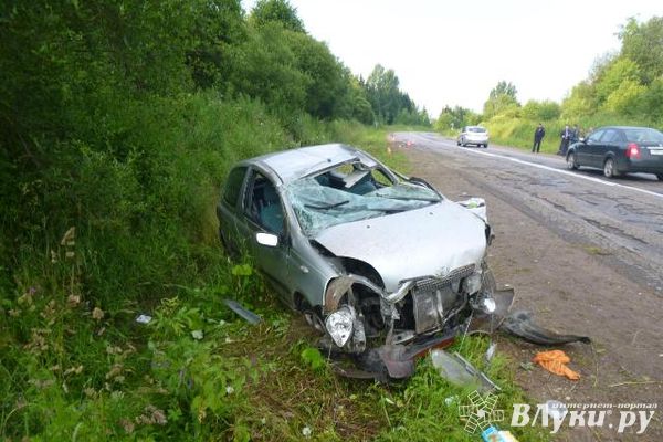 В Псковской области женщина за рулем Тойоты улетела в кювет вместе с маленькими детьми (фото)
