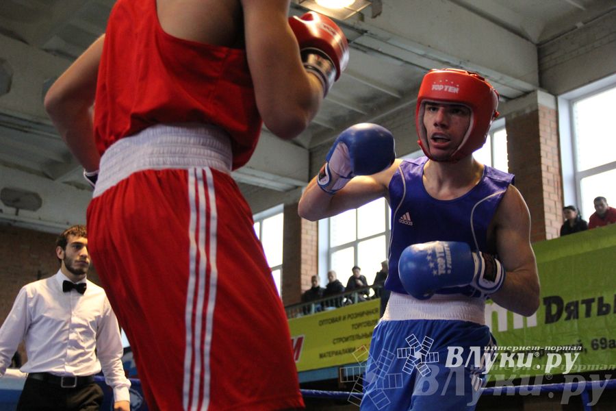 16-й Международный турнир по боксу (фото)