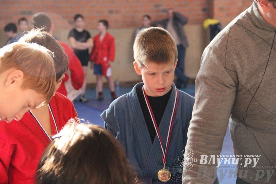 состоялось Открытое первенство города Великие Луки по борьбе самбо