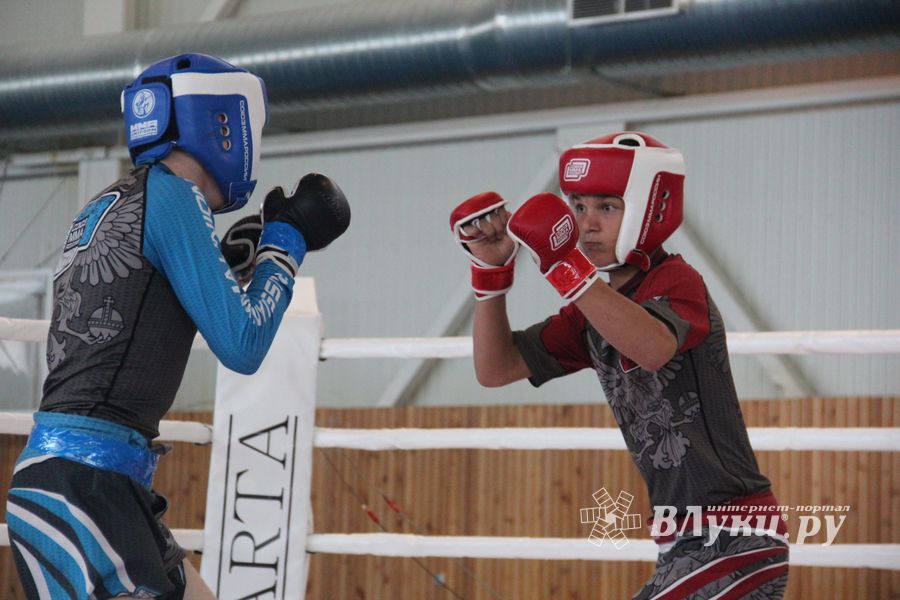 В Великих Луках завершилось Первенство России среди юношей по смешанному боевому единоборству ММА (ФОТО)
