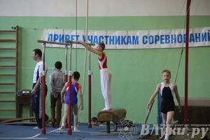 Открытый Кубок Псковской области по спортивной гимнастике