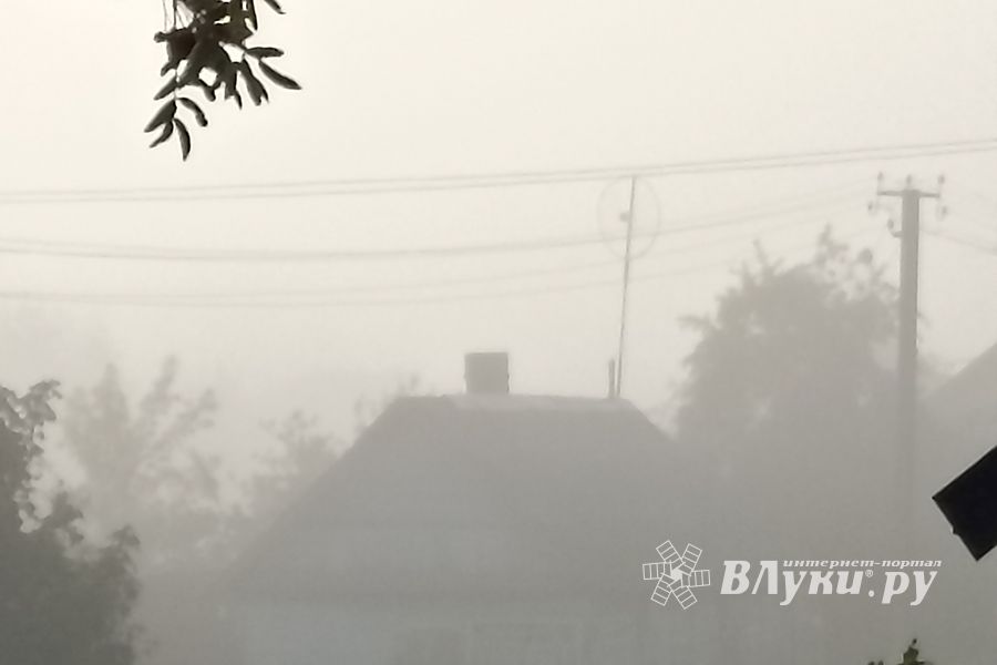 ©ВЛуки.ру