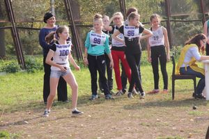 В Великих Луках состоялись соревнования «Шиповка юных» (фото)