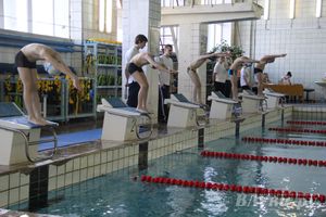 В Великих Луках прошли соревнования по плаванию «Весёлый дельфин» 