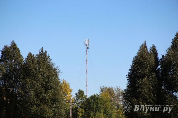 В Псковской области запущено 6 базовых станций сотовой связи в малых населенных пунктах